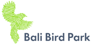 Bali Bird Park