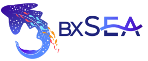 BX Sea